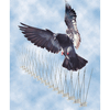 Bird-B-Gone, Inc. Mega Bird Spikes<BR><BR> 