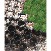 Fiberweb Geosynthetics  Porous Grass Paving Grids<BR><BR>