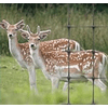 Fiberweb Geosynthetics  Deer Fence<BR><BR>  