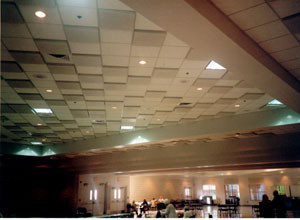 Eckel Industries, Inc., Acoustic Div. Acoustic Lay-In Panel