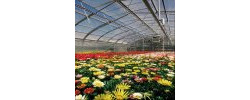 SABIC Innovative Plastics Lexan Thermoclear Dripgard Sheet<BR><BR>