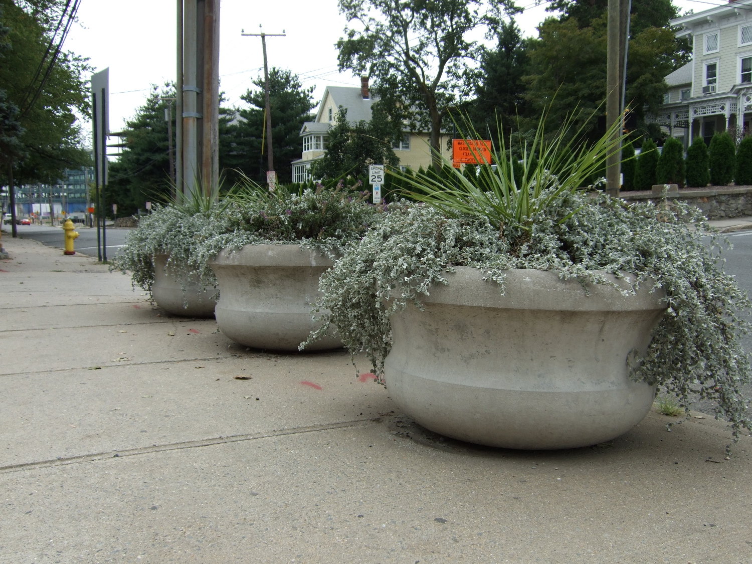 Kenneth Lynch & Sons Planters<BR><BR>